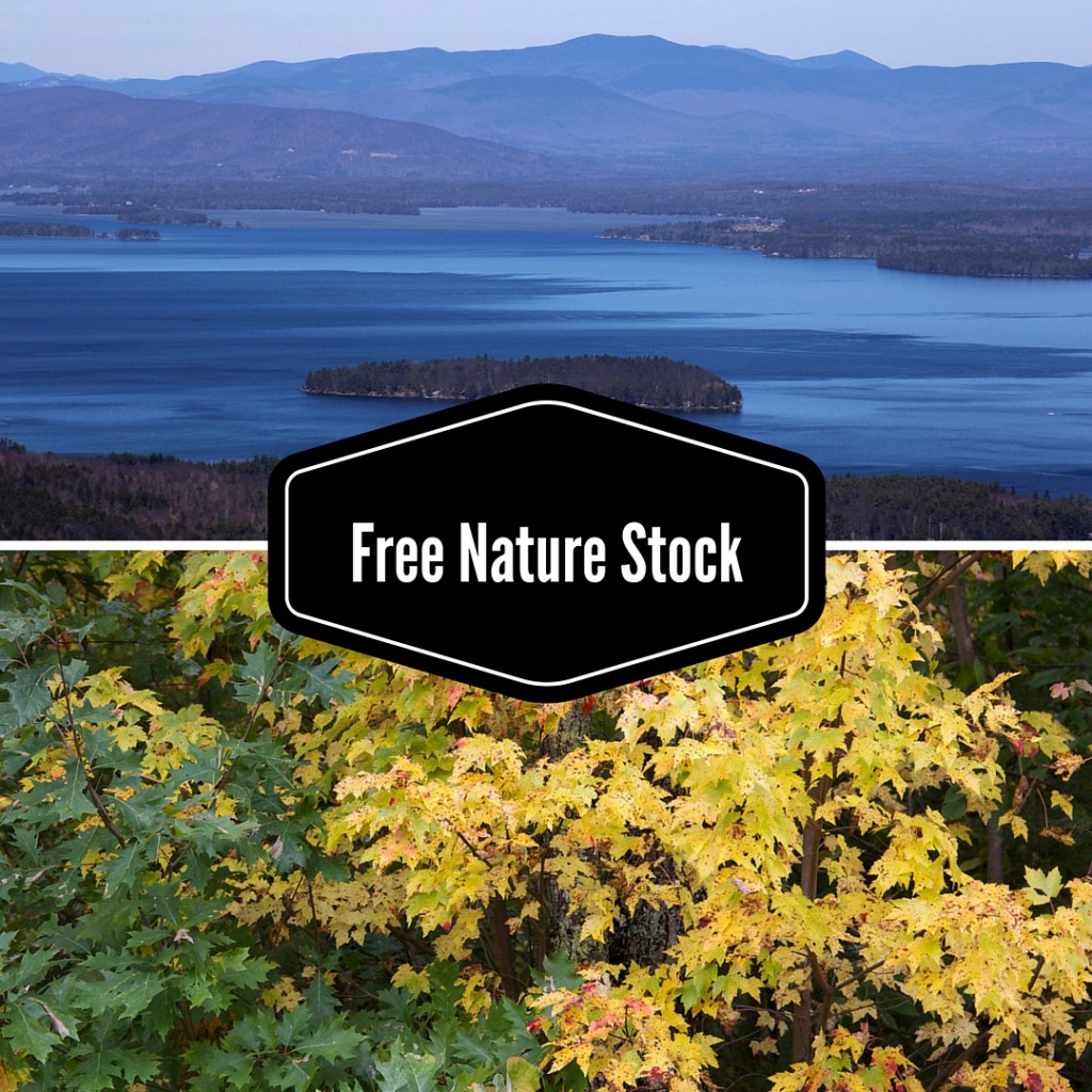 Free Nature Stock-EdiThumbs