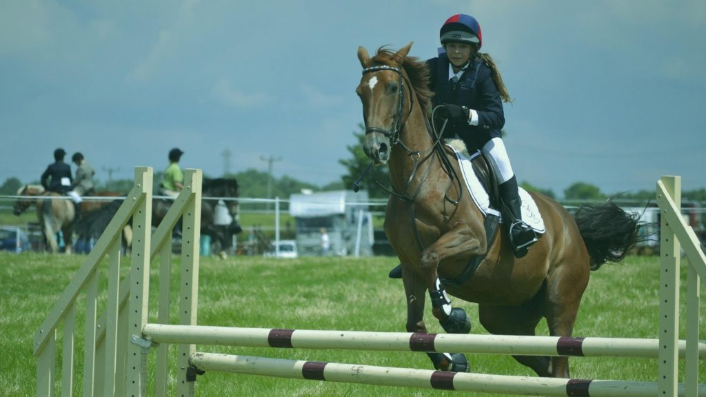 Equestrian As A Hobby & Good Exercise-EdiThumbs