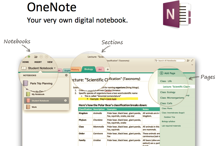 9 Best Research Note Taking App That Replace Your Notebook & Paper-EdiThumbs