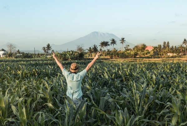 Man standing in a cornfield in Indonesia